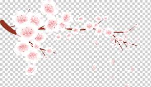 Pink Blossoms Illustration Petal Plum Blossom Flower Plum Blossom Petals Falling Branch Happy Birthday Vector Images Fall Leaves Png Klipartz Confetti icon, blossom falling png. pink blossoms illustration petal plum