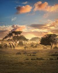Contribute to jonathanperret/paysage development by creating an account on github. Merci A Travelanddestinations Profite De 34 De Reduction Sur Ta Premiere Reservation Sur Airbnb En T Inscriva Paysage D Afrique Paysage Savane Photos Paysage