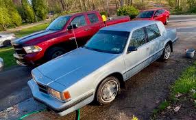 Image result for Midnight Blue 1991 Dynasty