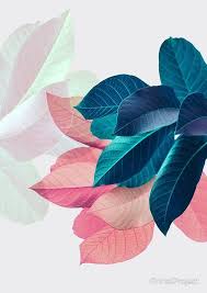 Blue Pink Plant Leaf Photographic Print By Printsproject Wall Art Canvas Painting Leaf Wall Art Leaf Art