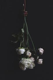 We did not find results for: Two Ways To Preserve Flowers How To Preserve Flowers White Roses Dark Green Aesthetic