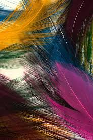 Colorful Feathers Most Beautiful Hd Wide Mobile Wallpaper P Colorful Feathers Most Beautiful Hd Wide Mobile Wall Duvar Kagitlari Baski Telefon Duvar Kagitlari