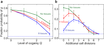 Maybe you would like to learn more about one of these? Selection For Mitochondrial Quality Drives Evolution Of The Germline