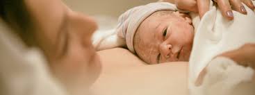 Press Release Archives