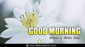 Good morning images mostly people search good morning images quotes your favorite good morning images love available here. Top Good Morning Messages Top Good Day Sms Greetings In English Hd Wallpapers Best Good Morning Wishes Whatsapp Pictures English Quotes Free Download