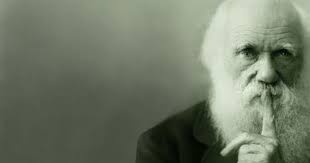 It is all here in the family friendly bistro. Charles Darwin On Family Work And Happiness Brain Pickings