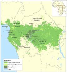 Overview map of the democratic republic of congo (drc). The Congo Basin A Mosaic Of Rivers Forests Savannas Swamps And Flooded Forests The Congo Basin Is Teeming With Congo Africa Map Central African Republic