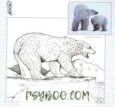 We did not find results for: Realistic Zoo Animals Coloring Pages Pdf Print Free