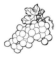 Black And White Vines Clipart Awesome Grapes Clipart Black And White Yepigames Vine Drawing Drawings Pinterest Clip Art