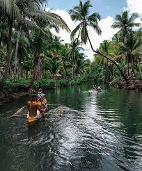 Siargao Island By Akadenz Siargao Island Siargao Mangrove Forest