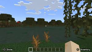 How To Find Slimes In Minecraft: All Details You Need To Know!