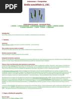 Image result for Emilia pseudactis