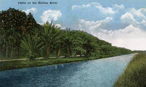 Use these beautiful images as free desktop wallpaper or free backgrounds! Palms On The Halifax River Clippix Etc Educational Photos For Students And Teachers