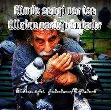 Kimde Sevgi Var Ise Allah In Varligi Ondadir Hz Mevlana Rayban Wayfarer Mens Sunglasses Men