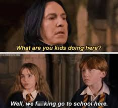 Here are the best harry potter memes; 100 Harry Potter Memes That Will Always Make You Laugh