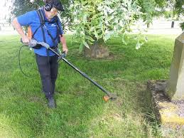 Black And Decker Lawn Edger Uk Brushcutter And Strimmer Course For Knw At Cromwell Lock Www Countrysidetrainingltd Co Uk Trimmers Grasses Garden Outdoor Power Equipment
