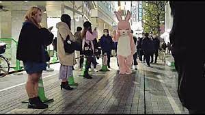 tachinbo and rabbit in Shinjuku Kabukicho. - YouTube