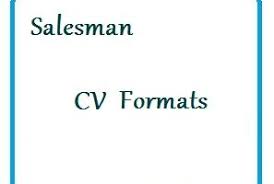 The marketing spectrum on customer segmentations and product categories. Sales Man Cv Template Cv Format And Cv Sample
