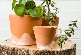 This post has a video showing how i paint my terracotta pots to give them a more modern look. How To Paint Terracotta Pots Painted Pot Ideas Olivia Ohern