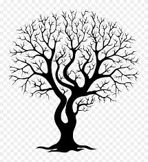 Aesthetic tree stock photos and images. Old Tree Branches Aesthetic Free Photo Aesthetic Clipart Stunning Free Transparent Png Clipart Images Free Download
