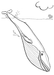 You can use our amazing online tool to color and edit the following realistic sea life coloring pages. Free Printable Ocean Coloring Pages For Kids