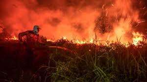 Maybe you would like to learn more about one of these? Indonesia S Fires Are Bad But New Measures Prevented Them From Becoming Worse Science Aaas