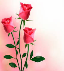 Beautiful flowers wallpapers beautiful rose flowers exotic flowers amazing flowers pretty flowers pink rose bouquet pink rose flower the fatal gift of beauty. Beautiful Pink Flowers Banner Free Vector Download 31 218 Free Vector For Commercial Use Format Ai Eps Cdr Svg Vector Illustration Graphic Art Design