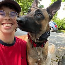 QUICK, tell me everything you know about Basenjis!! For science of course!  🐶