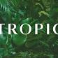YOGA AND TROPIC EVENING - In aid of the Lighthouse event image