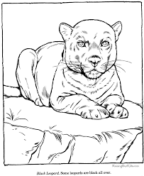 Jumping long distances is also within the power of this unique beast. Leopard Coloring Sheets And Pictures