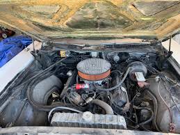 Image result for Go Mango 1970 Polara