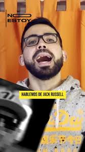 Jack Russell Venezuela