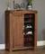 Modern Shoe Rack Cabinet