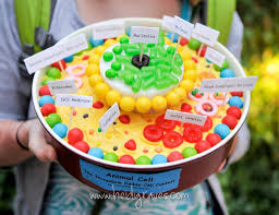 We did not find results for: How To Create 3d Plant Cell And Animal Cell Models For Science Class Edible Cell Animal Cell Animal Cells Model
