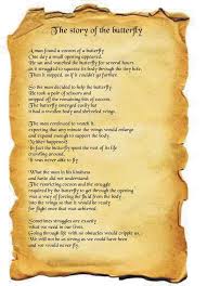 I Love This Butterfly Quotes Butterfly Butterfly Effect