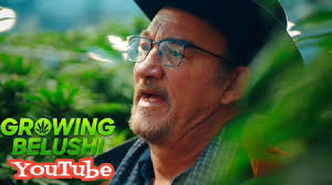 Why Jim Belushi Started Growing Marijuana (Full Video in Comments)
