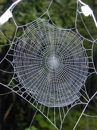 Jenny Foxglove S Gothic Garden Spider Web Spider Art Spider