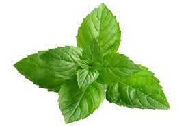 Peppermint: Peppermint has shown health benefits for nausea, skin conditions, irritable bowel syndrome, headaches, cold, and flu.