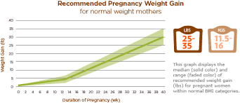 Healthy Weight Gain During Pregnancy