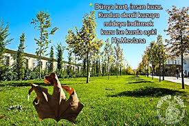 Dunya Kurt Insan Kuzu Kurdun Derdi Kuzuyu Mideye Indirmek Kuzu Ise Kurda Asik Hz Mevlana Deri Kimya Asik