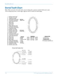 22 Printable Teeth Chart Forms And Templates Fillable