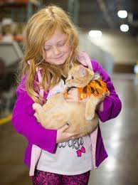 Free german shepherd mix puppies! Empty The Shelters 2018 Free Animal Adoption Event Expands