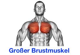 Straffe brustmuskeln mit besten übungen trainieren. á… Brust Ubungen Ohne Gerate Top 4 Bilder Videos