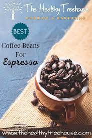 Top 3 Best Coffee Beans For Espresso In Currentyear The Healthy Treehouse