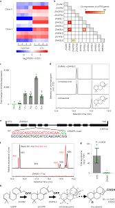 Multiple Genes Recruited From Hormone Pathways Partition