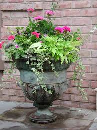 Building A Dream House Front Porch Container Gardens Container Flowers Container Plants Summer Planter