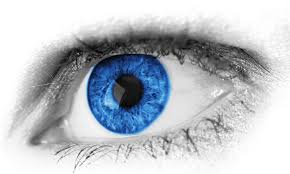 Marco Bravo Eye Examination Chair The Foresight International Group Ophthalmic Equipment Beautiful Eyelashes Visual Perception