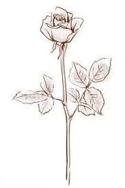 Download and use them in your website, document or presentation. Resultado De Imagem Para Long Stem Rose Sketch Rose Rose Sketch Rose Outline Outline Drawings Rose Sketch
