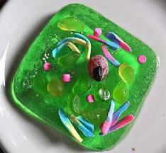 Check spelling or type a new query. Se7en Edible Cell Edible Cell Project Plant Cell Model