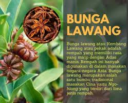 Nama cina bagi bunga lawang ialah bat gok dan ba jiao membawa maksud segi lapan atau oktogon bersesuaian dengan bentuk bunga lawang yang mempunyai lapan kelopak. Mengenal Bumbu Dan Rempah Yang Sering Ada Didapur Beserta Gambar Elinotes Review